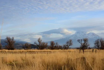 DSC_3100 (Large).JPG